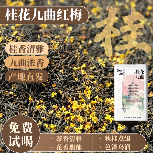 桂花九曲红梅浓香养胃香醇浓厚