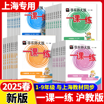 2024华东师大版一课一练沪教版