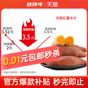 新鲜河南黄心红薯0.5斤板栗红薯沙地地瓜农家自种蔬菜番薯现挖