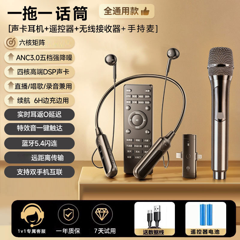2025全新无线麦克风直播