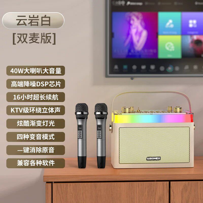 音响一体机室内户外K歌蓝牙音箱