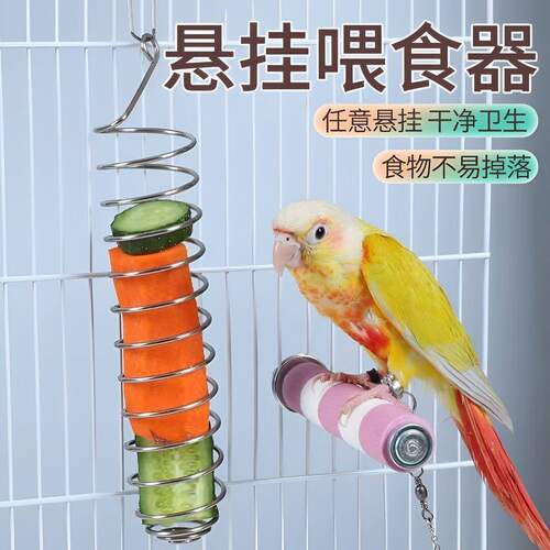食品级不锈钢鹦鹉悬挂喂食器水果叉子蔬菜玉米苹果挂式鸟笼喂食器