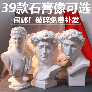 包邮小大卫石膏头像人物素描教具欧式装饰摆件维纳斯头骨雕塑模型