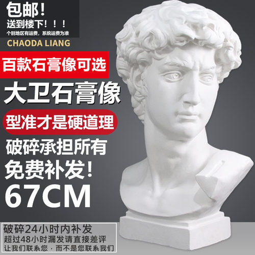 大卫石膏像美术教具画室素描