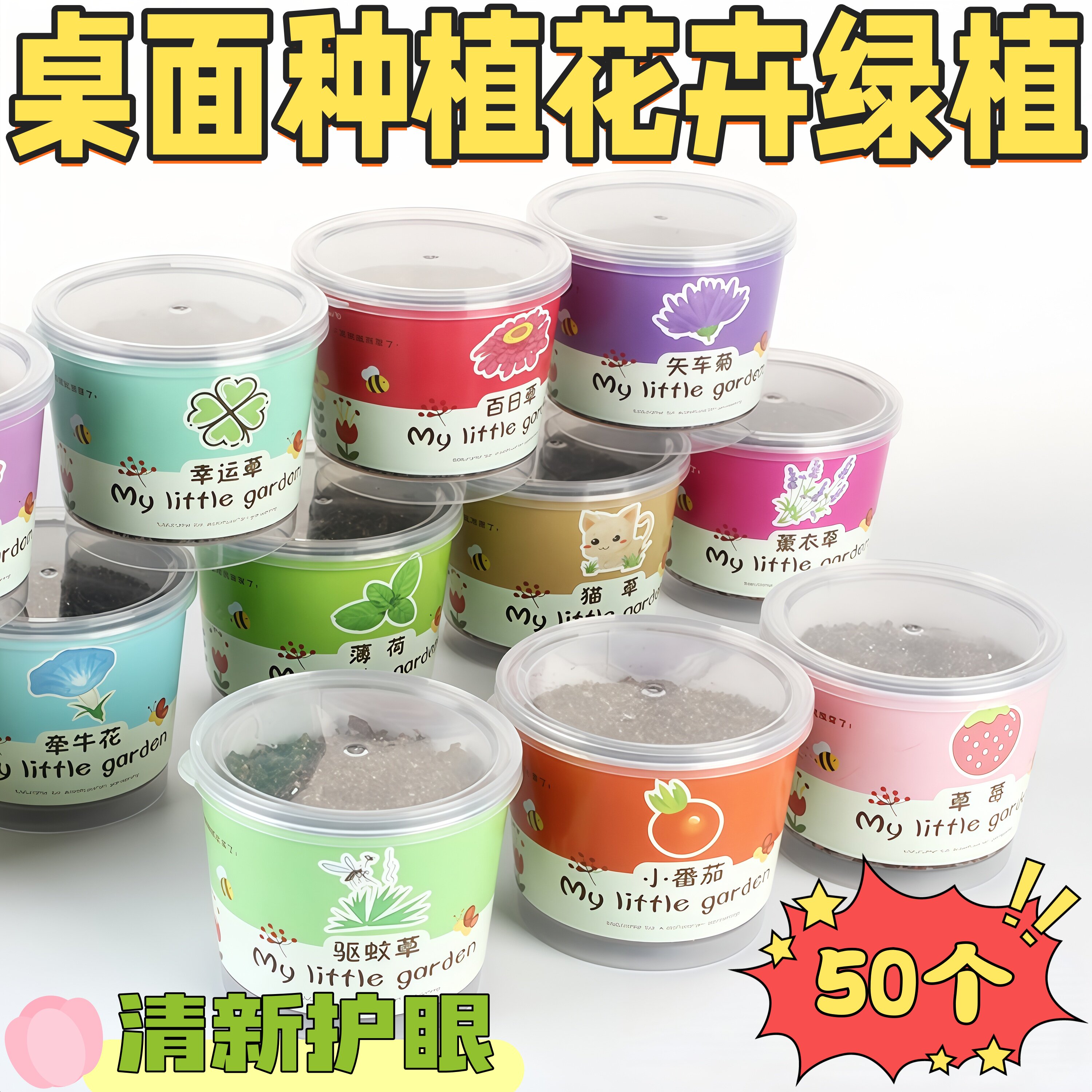 开学季儿童桌面种植观察盆栽礼物