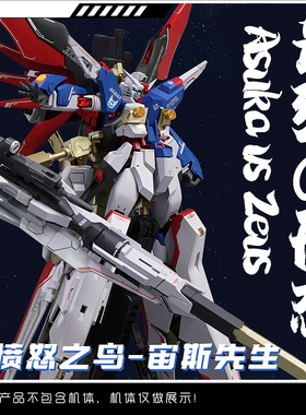 宙斯先生预喷涂装真愤怒之鸟ZAFT迪斯尼MR样式宙斯魅影拼装模型