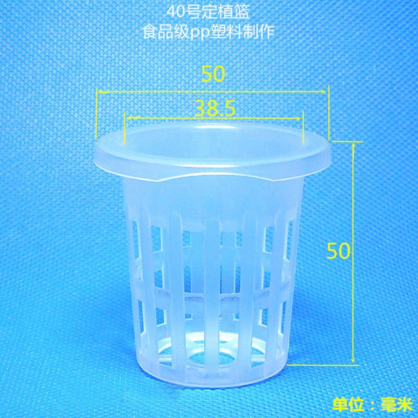 40号土培定植篮+固根器风信子