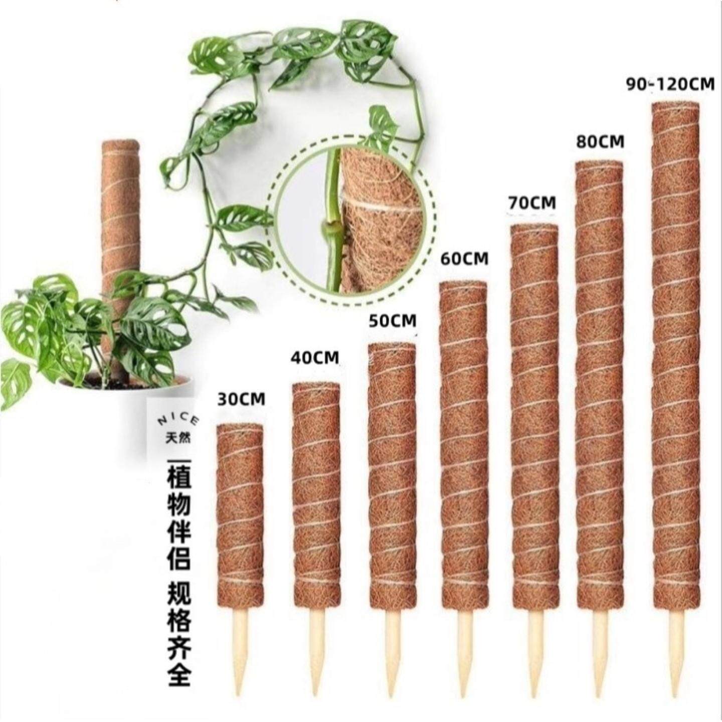 龟背竹支撑杆绿箩攀爬柱椰棕棒绿萝固定植物爬藤棕榈柱防倒伏支架