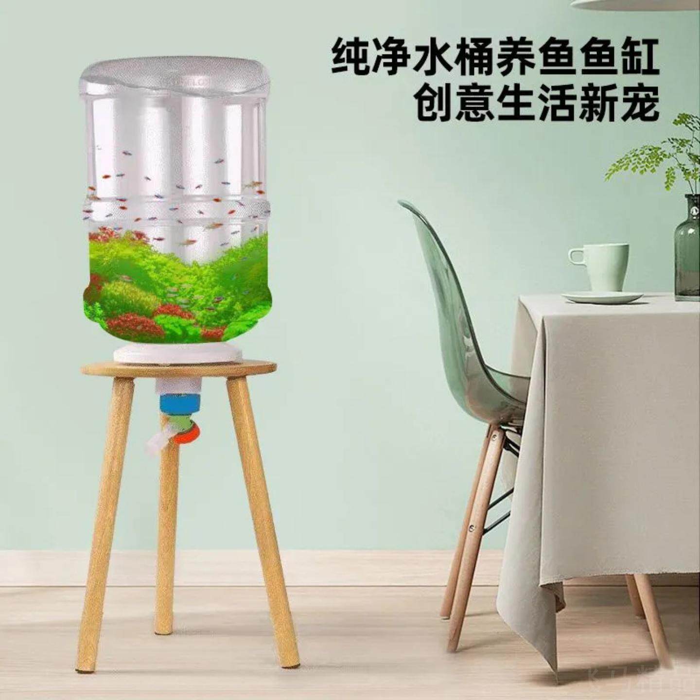 纯净水桶改造创意透明生态鱼缸