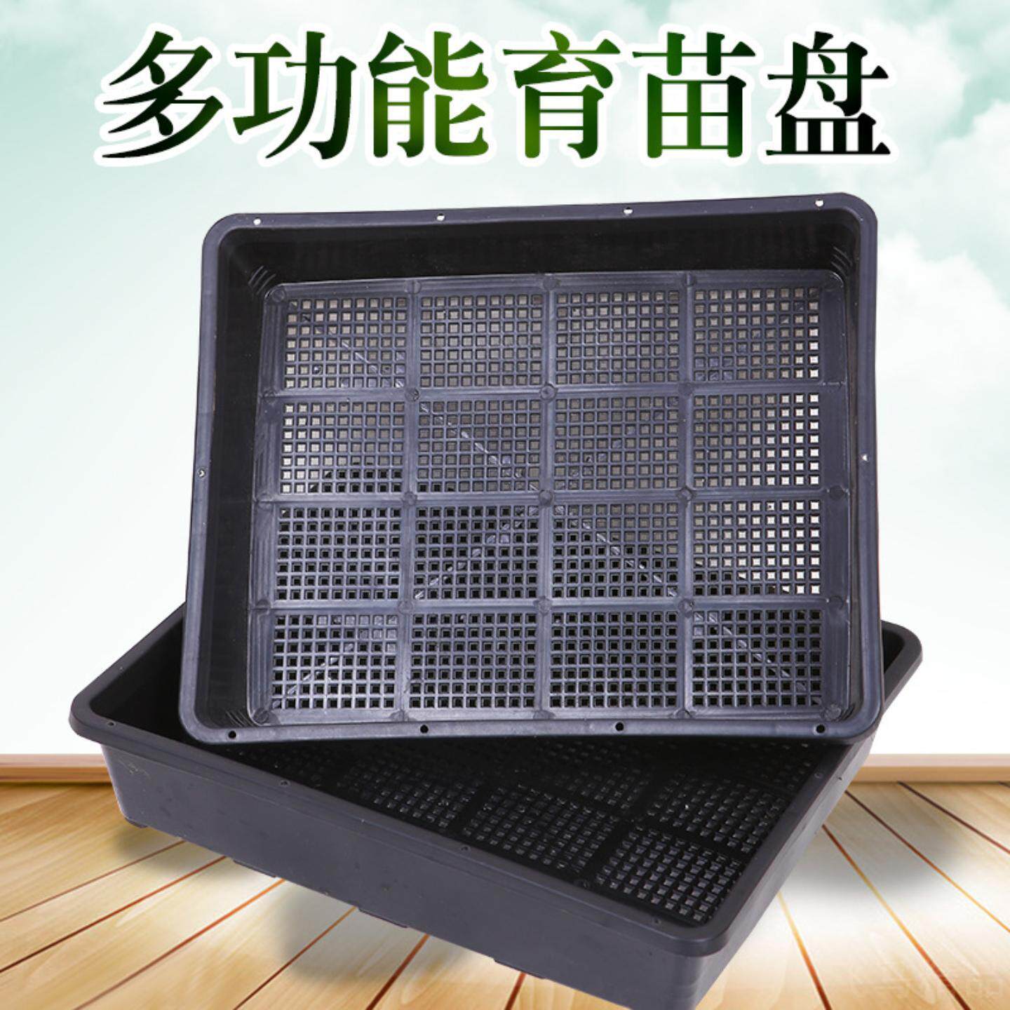 育苗框多肉专用收纳扦插盘塑料30