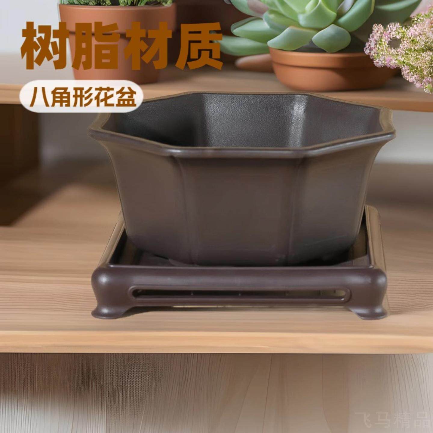 八角花盆多肉菖蒲松树室内盆景仿