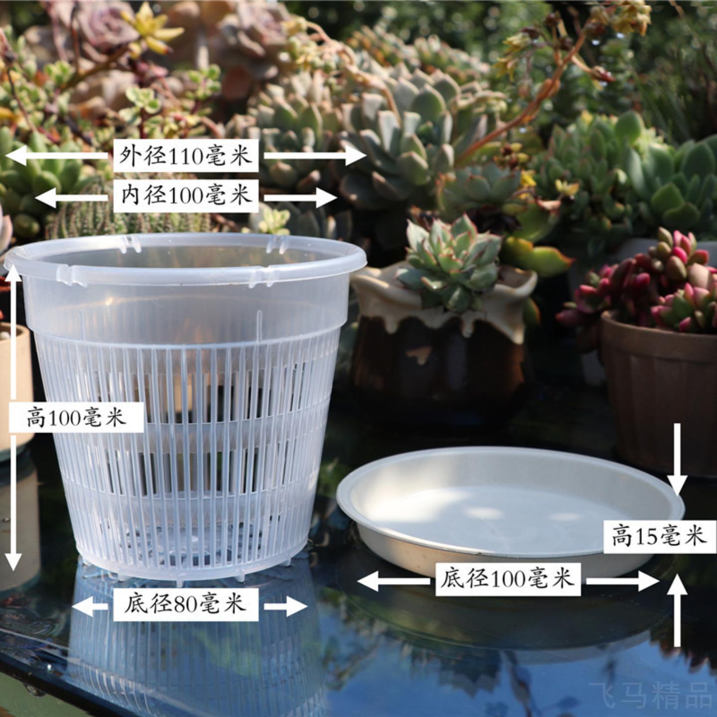 塑料兰花专用透气控根盆景盆带