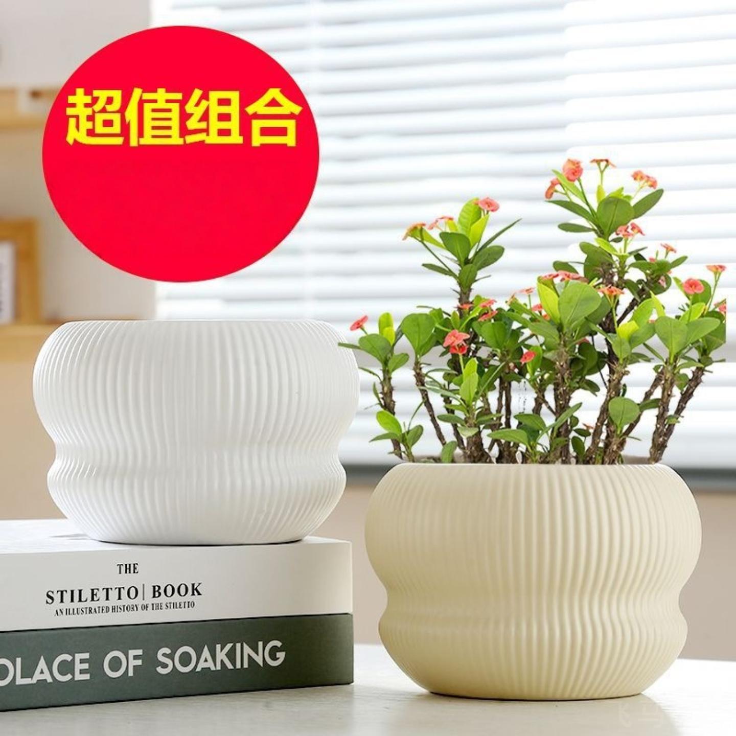 北欧风虎皮兰专用陶瓷花盆|轻奢