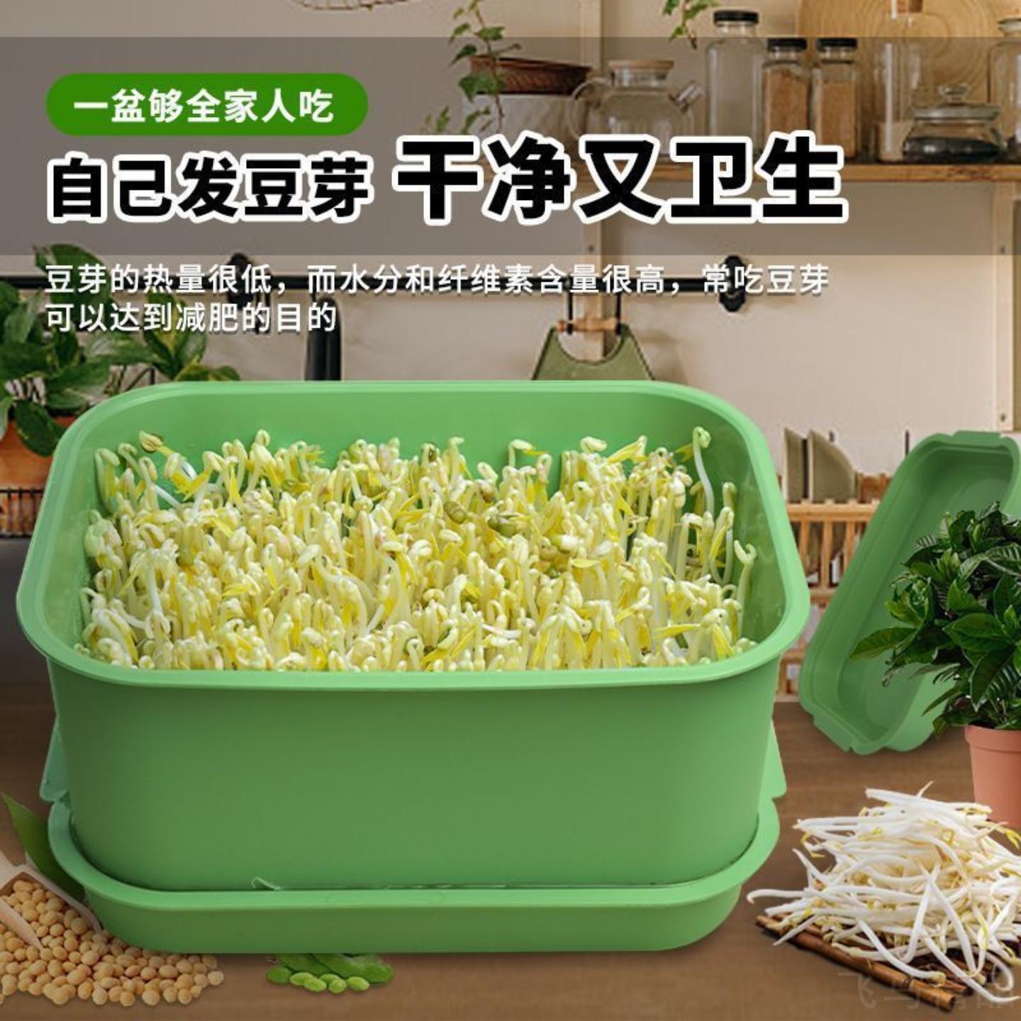 家用全自动豆芽发芽盆机黄豆绿豆