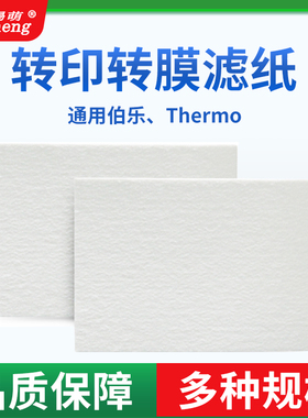 WB转印滤纸转膜湿转印滤纸衬垫Western blot 适用伯乐/天能/六一/Thermo转印槽厚滤纸电泳湿转 半干转印滤纸