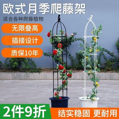 玫瑰爬藤架成套藤蔓花卉支撑月季铁线 线莲架子管庭院植物支架杆