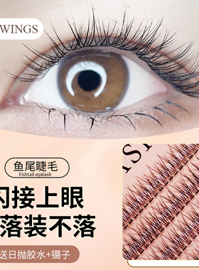 LASHWINGS睫羽貂绒鱼尾朵毛