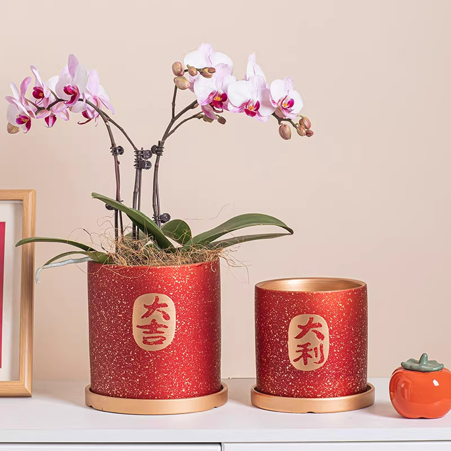 红色陶瓷花盆蝴蝶兰花盆陶瓷小花盆喜庆新年红色花盆感家用盆,鲜花速递/花卉仿真/绿植园艺,花盆,淘宝优惠券,粉丝福利购,淘宝优惠卷