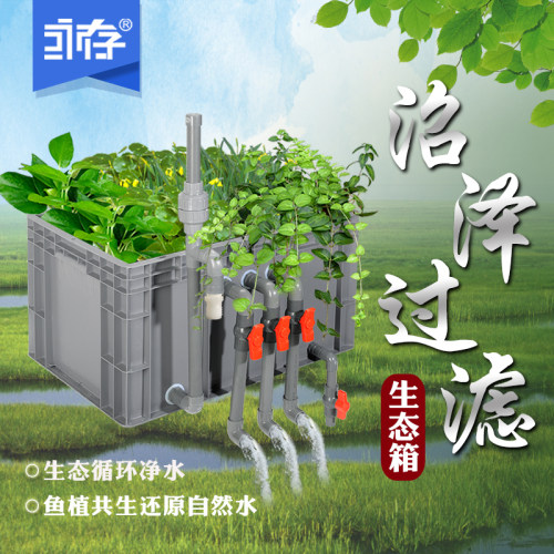 沼泽共生系统乌龟自制diy过滤箱
