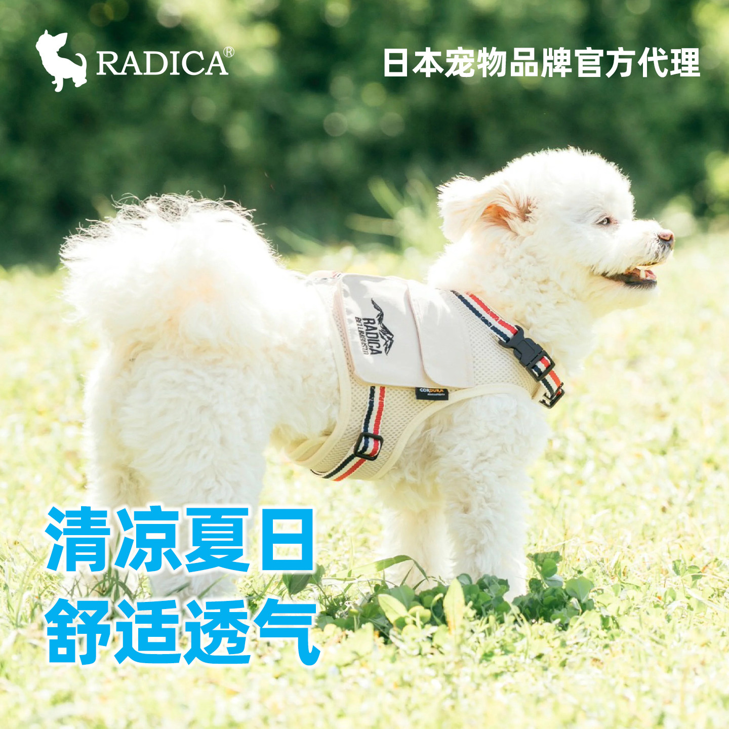日本radica考杜拉透气犬用胸背
