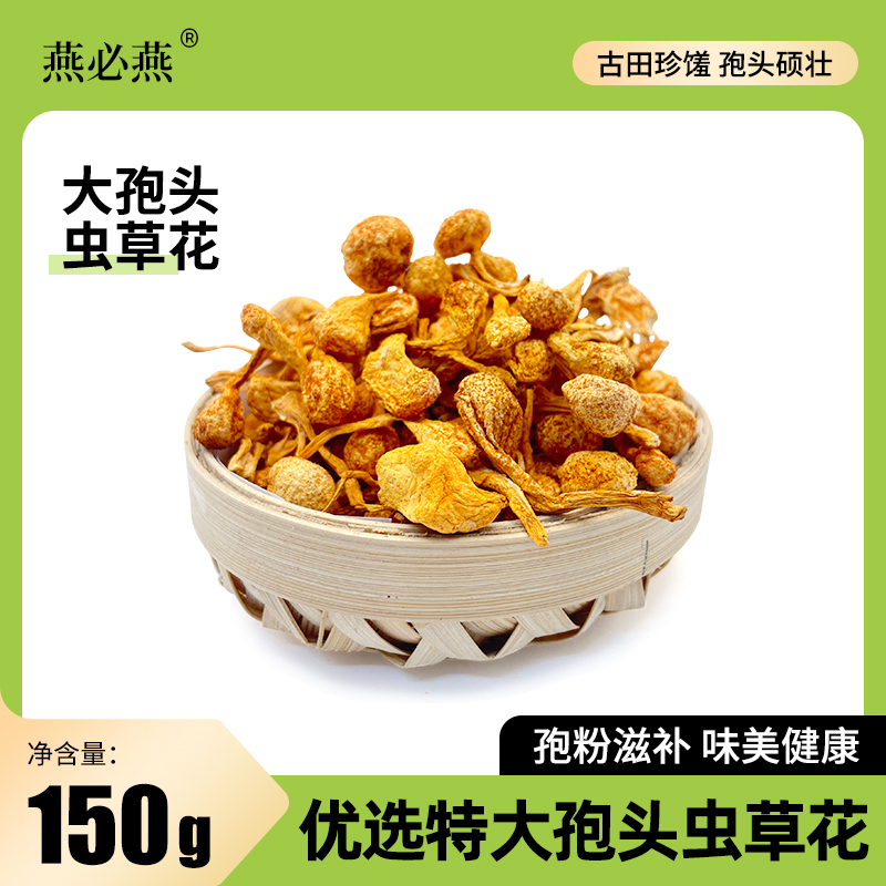 燕必燕特大孢子虫草花干货金蛹虫草北虫草金虫草新鲜无硫煲汤食材