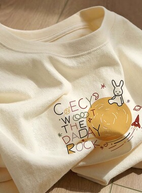 纯棉夏季2025年新款圆领小众体恤衫设计感宽松T恤百搭短袖女ins潮