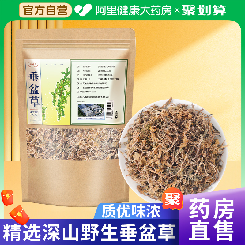 【药房直售】垂盆草正品500克