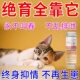 猫咪禁情片公猫母猫抑制猫闹猫叫专用禁情液绝情粉抑制嚎叫猫舒静