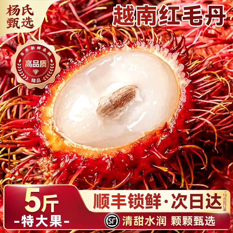 越南进口红毛丹|东南亚