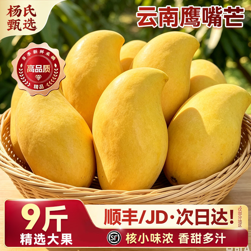 云南鹰嘴芒黄皮芒果套袋甜心新鲜热带水果套袋生态果3-8斤包邮