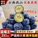 云南花香蓝莓特大新鲜水果现摘L25一斤礼盒装 整箱官方旗舰店 当季