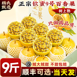 广西百香果黄金钦蜜9号新鲜水果5斤包邮大果一级当季应季纯甜整箱