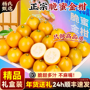 顺丰正宗广西融安脆蜜金柑应当季新鲜水果现摘金桔脆甜整箱礼盒装