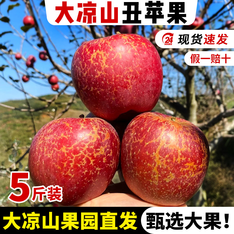 正宗四川大凉山盐源丑苹果脆甜冰糖心2026当季新鲜水果现摘整箱
