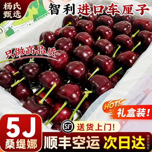 空运秒发智利进口车厘子顺丰包邮