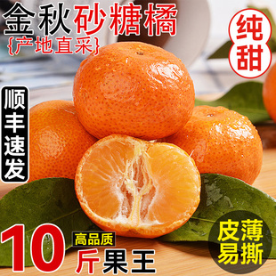 【10斤】正宗金秋砂糖橘新鲜水果应当季时令桔子蜜橘柑橘薄皮整箱