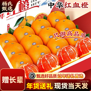 【赠长辈】正宗九月红秭归血橙子果冻新鲜水果10斤大产地直发冰糖