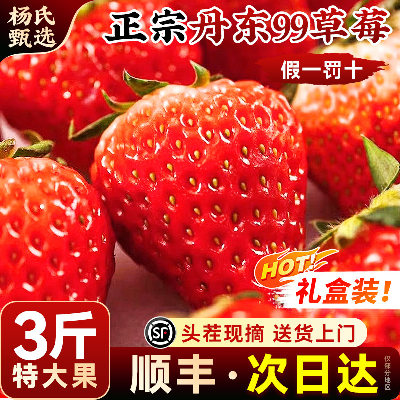 【3斤礼盒装】丹东99大草莓新鲜水果九九红颜奶油次日达辽宁东港,水产肉类/新鲜蔬果/熟食,水果礼盒/水果组合,淘宝优惠券,粉丝福利购,淘宝优惠卷