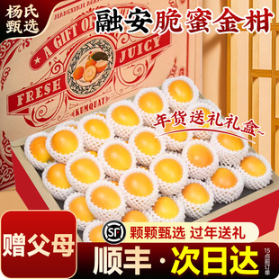 【赠父母】正宗广西融安脆蜜金柑应当季新鲜水果桔脆甜整箱礼盒装