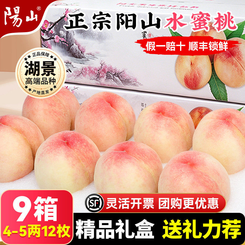 【9箱精品礼盒4-5两12枚】