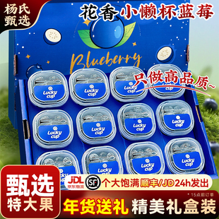 【特大果】云南高山花香蓝莓l25新鲜水果整箱小懒杯礼盒blueberry