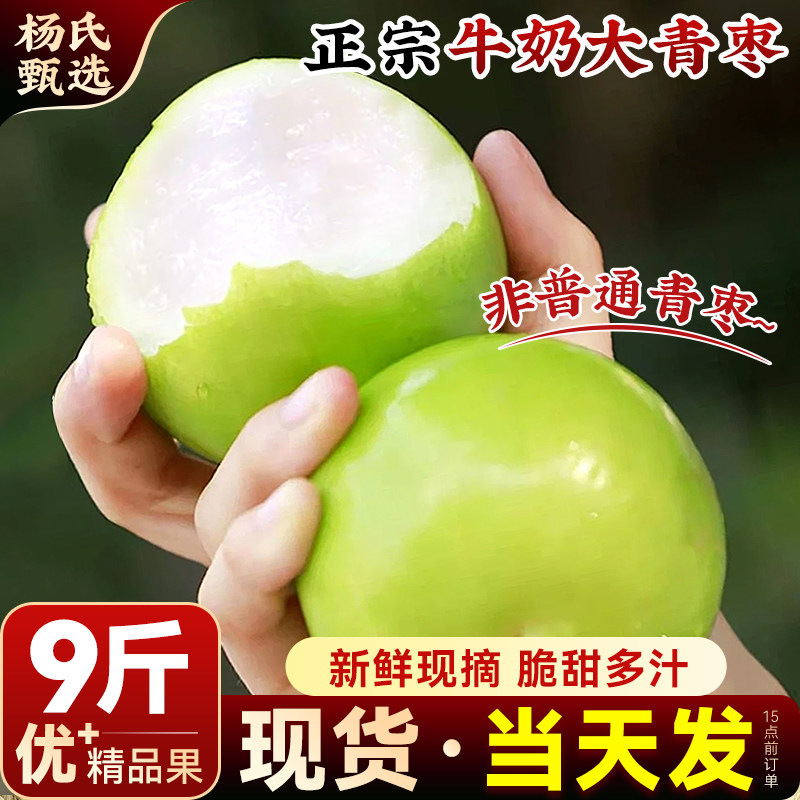 福建牛奶大青枣9斤新鲜现摘水果贵妃冬枣当季整箱苹果大脆枣,水产肉类/新鲜蔬果/熟食,枣,淘宝优惠券,粉丝福利购,淘宝优惠卷