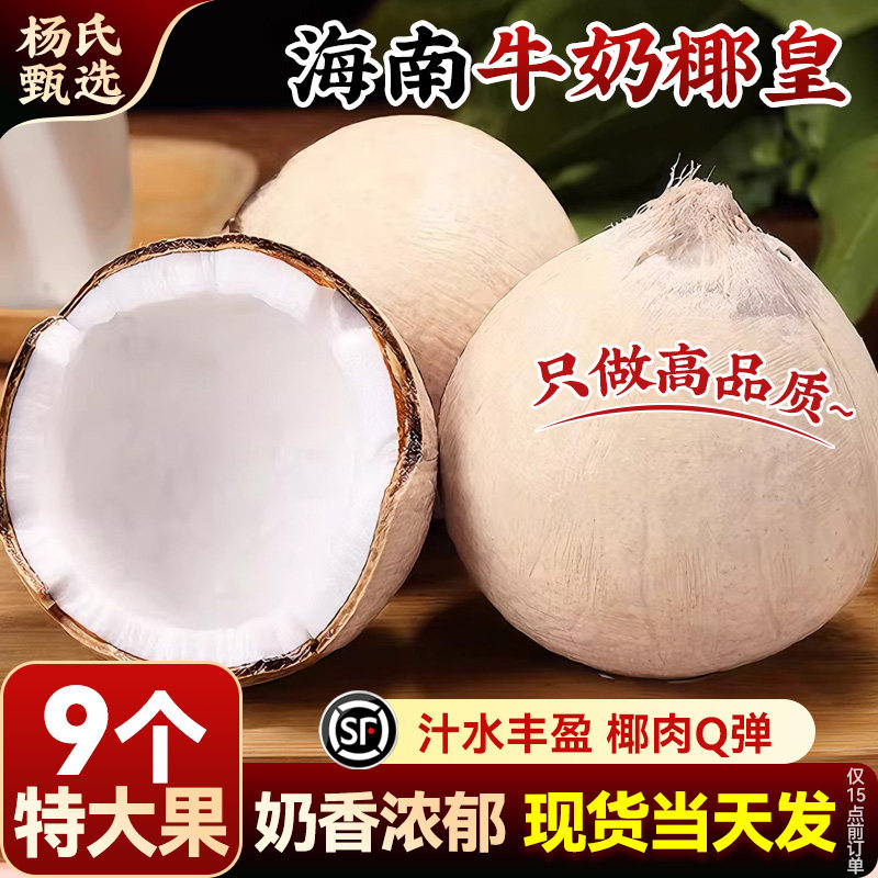 正宗海南三亚牛奶椰皇小奶椰孕妇新鲜水果大椰子蛋奶香整箱包邮