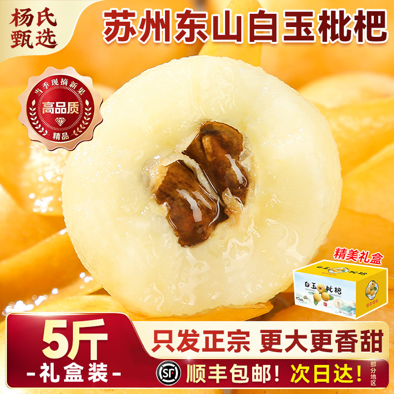 【头茬大果】苏州东山白玉枇杷礼盒新鲜应当季水果青种琵琶沙顺丰