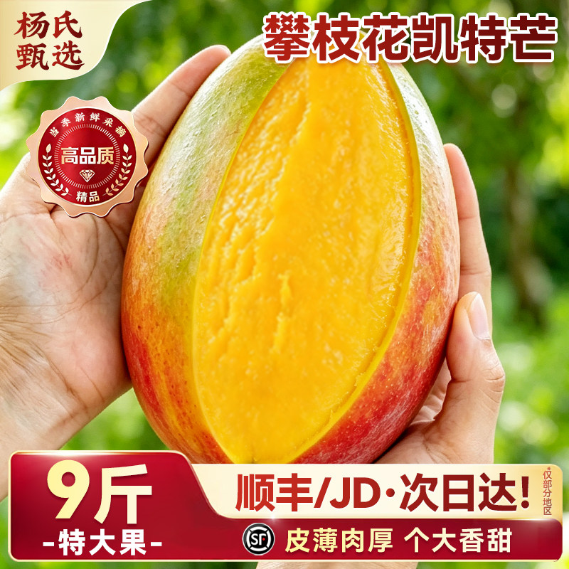 四川攀枝花凯特芒产地直发