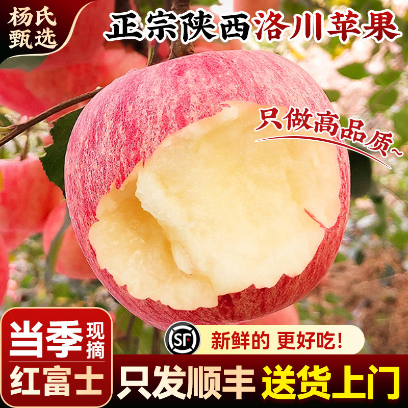 【当季现摘新果】顺丰正宗陕西洛川苹果10斤红富士水果新鲜整箱,水产肉类/新鲜蔬果/熟食,苹果,淘宝优惠券,粉丝福利购,淘宝优惠卷