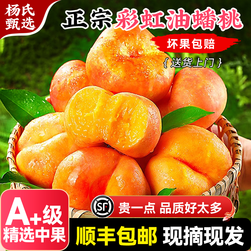 【中果】彩虹黄金蟠桃黄肉油扁桃子应季新鲜水果脆甜油桃顺丰整箱