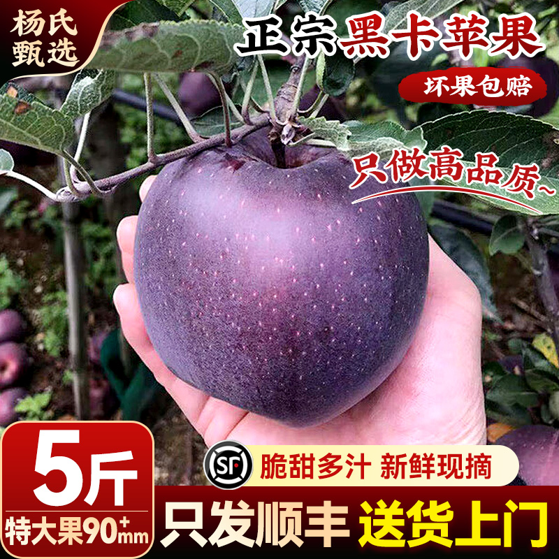 【5斤90mm+】正宗甘肃黑卡黑钻天水花牛苹果新鲜水果当季整箱顺丰