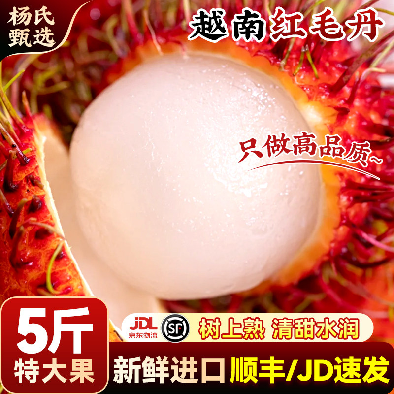 越南进口红毛丹5斤当季水果整箱毛荔枝毛丹果红牡丹热带顺丰包邮
