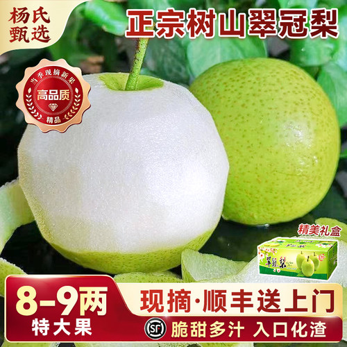 【顺丰礼盒】正宗苏州树山翠冠梨